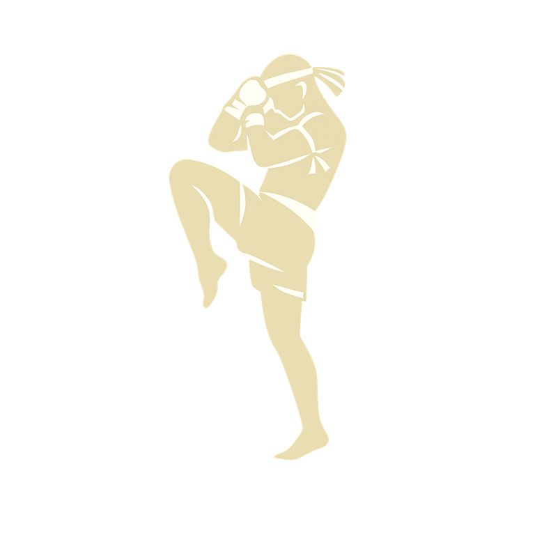 Muay Thai icon